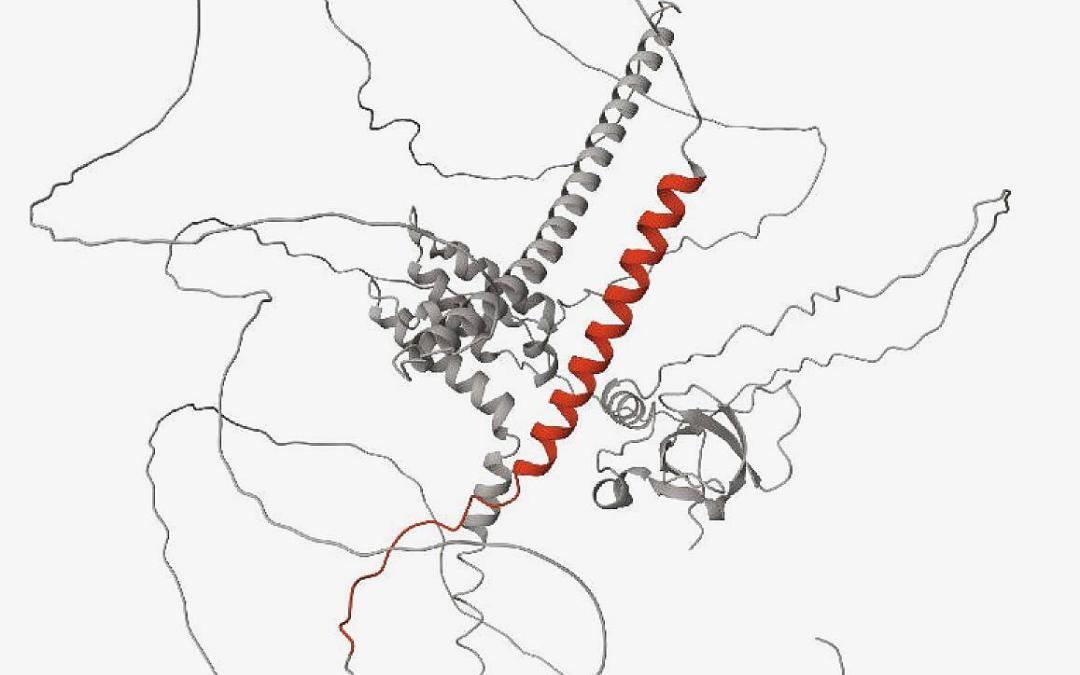 IBRA Sponsored Proteomics Training Leads to Groundbreaking Research in Neurodegenerative Diseases